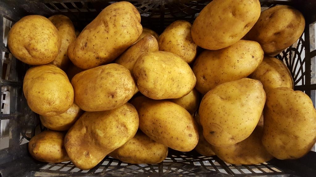 Dobava, dostava, predelava mladega olupljenega krompirja - MarSi 01