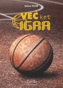 VEČ KOT IGRA - product image