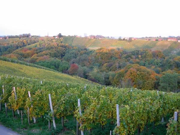 Okolica - product image