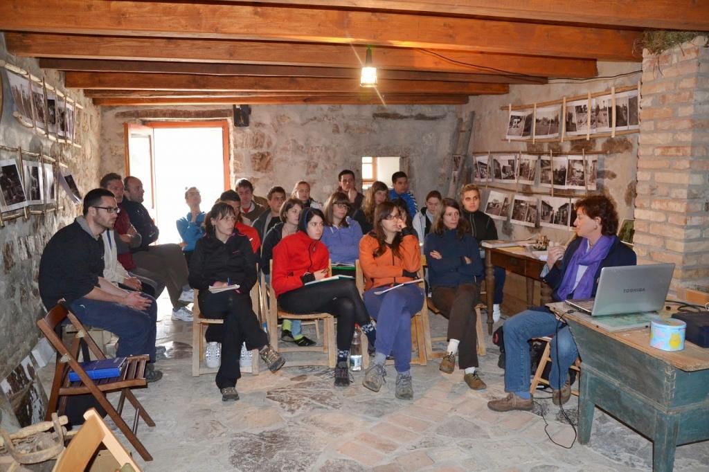 Dodatna ponudba - product image